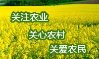 找准履职切入点 充分发挥监督作用